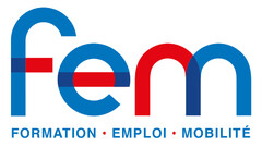 Fem formation emploi mobilitè