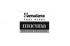 Himalaya PURE HERBS mucuna MUCUNA PRURIENS