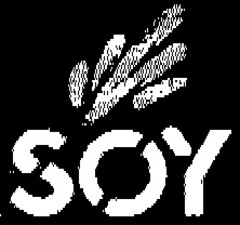 SOY