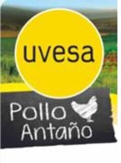 UVESA POLLO ANTAÑO