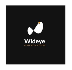 wideye glass with a vision