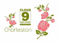 cloud 9 pure luxury under the carpet Charleston