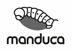 manduca