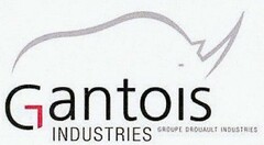 Gantois INDUSTRIES GROUPE DROUAULT INDUSTRIES