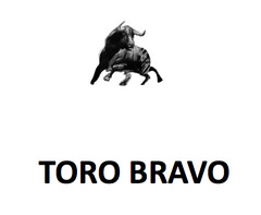 TORO BRAVO