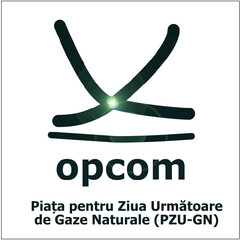 opcom Piața pentru Ziua Următoare de Gaze Naturale (PZU-GN)