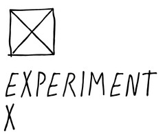 EXPERIMENT X