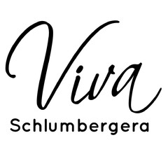 Viva Schlumbergera