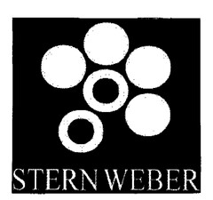 STERN WEBER