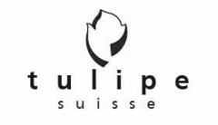 tulipe suisse