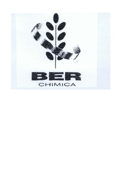 BER CHIMICA