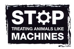 TREATING ANIMALS LIKE MACHINES