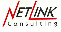 NETLINK Consulting