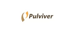 PULVIVER