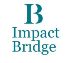 IB IMPACT BRIDGE