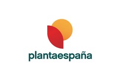 plantaespaña