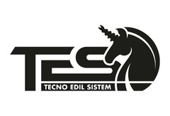 TES TECNO EDIL SISTEM