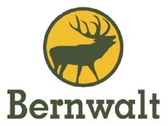 BERNWALT