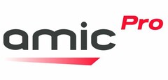 amic Pro