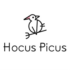 HOCUS PICUS