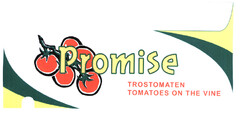 Promise TROSTOMATEN TOMATOES ON THE VINE