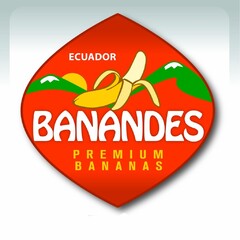 ECUADOR BANANDES PREMIUM BANANAS