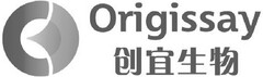 Origissay