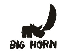 BIG HORN