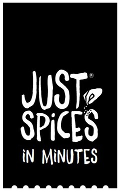 Just Spices in minutes