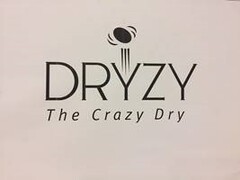 DRYZY THE CRAZY DRY