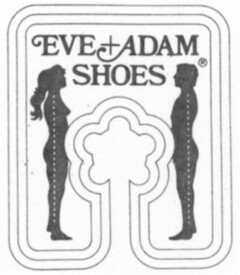 EVE + ADAM SHOES
