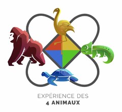 EXPÉRIENCE DES 4 ANIMAUX