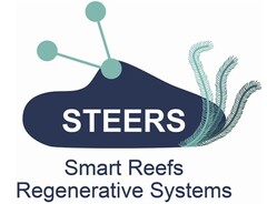 STEERS SMART REEFS REGENERATIVE SYSTEMS