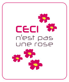 ceci n'est pas une rose