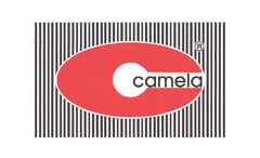 camela