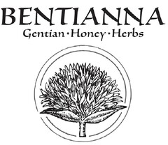 BENTIANNA Gentian Honey Herbs