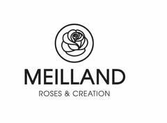 MEILLAND ROSES & CREATION