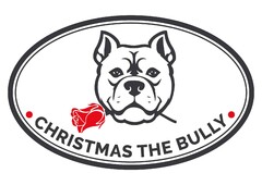 CHRISTMAS THE BULLY