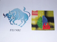 FEI NIU