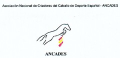 ANCADES Asociación Nacional de Criadores del Caballo de Deporte Español