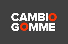 CAMBIO GOMME