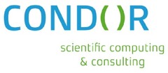 CONDOR
scientific computing & consulting