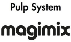 Pulp System magimix