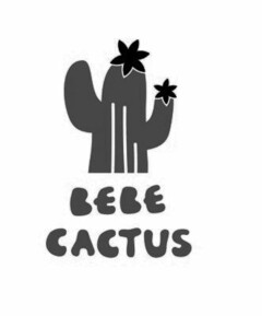 BEBE CACTUS