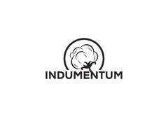 INDUMENTUM