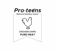 PRO TEENS NATURAL HEALTHY SNACK CHICKEN CHIPS PURE MEAT