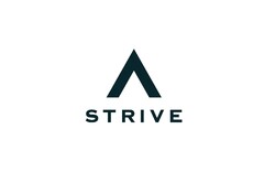 STRIVE