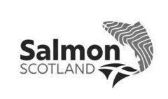 Salmon Scotland