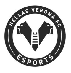 HELLAS VERONA FC ESPORTS