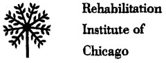 Rehabilitation Institute of Chicago